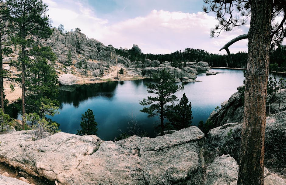 pexels-photo-1198817-1198817 Serene lake surrounded by rocky hills and conifer trees in Custer State Park, South Dakota.