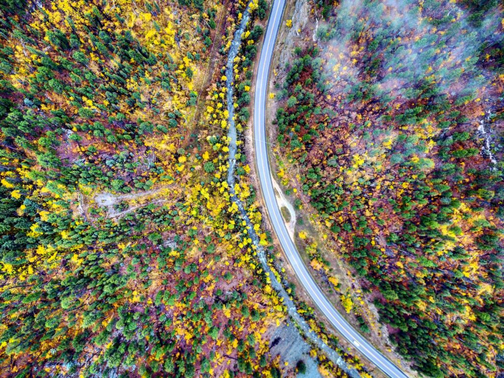 pexels-photo-1625125-1625125 A breathtaking aerial view of a winding road through colorful autumn foliage in Spearfish, South Dakota.
