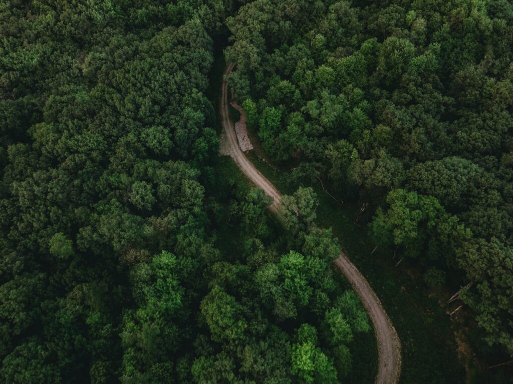 pexels-photo-17013195-17013195 A stunning aerial view of a winding road through lush forest in Wisconsin Dells, WI.