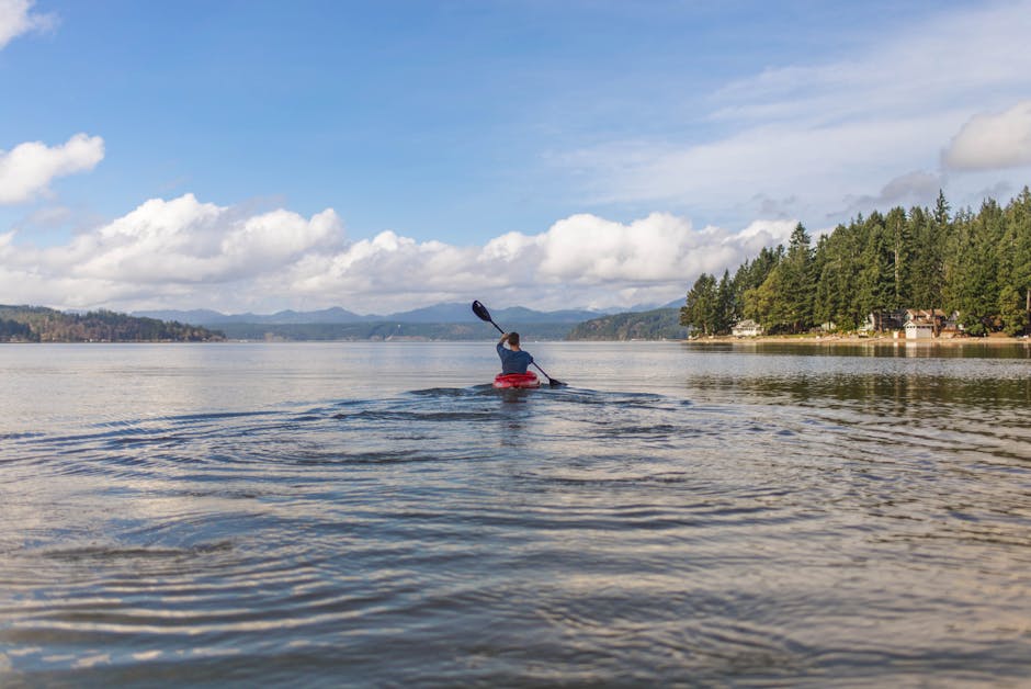 pexels-photo-241044-241044 Experience a peaceful kayaking journey on a vast lake surrounded by lush forests under clear skies.