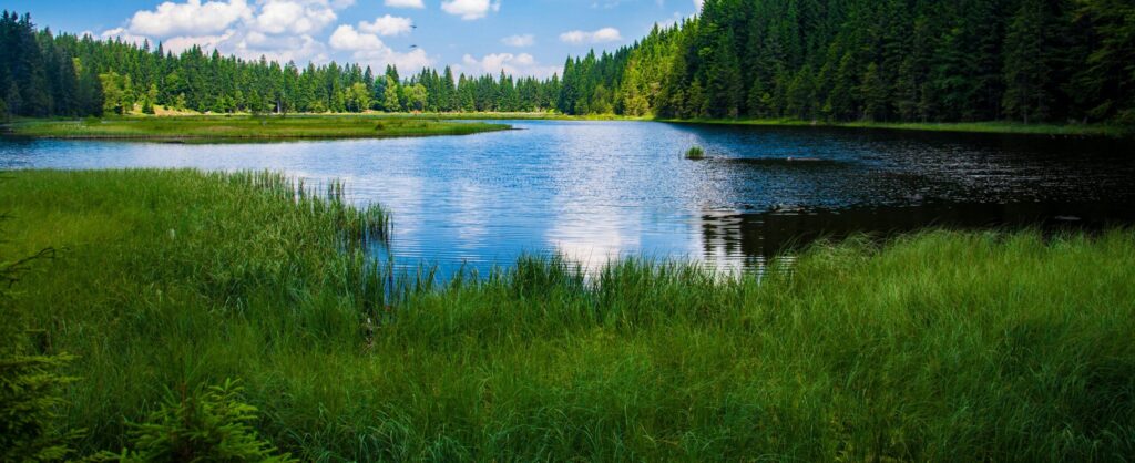 Beautiful landscape of a tranquil lake surrounded by dense green forest under a clear blue sky.