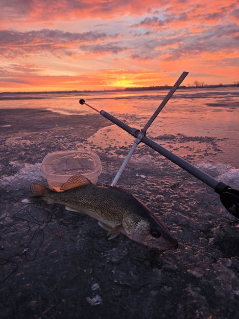 pexels-photo-30732336-30732336 Ice fishing setup with a fish and stunning sunset over frozen lake in South Dakota.