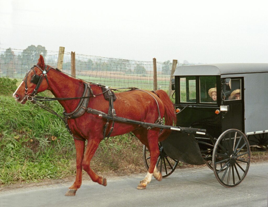 pexels-photo-32678634-32678634 A Amish horse and buggy