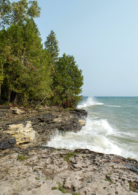 Dramatic view of waves crashing against a rocky coastline lined with lush green trees.