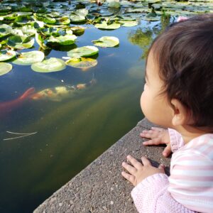 sunken gardens