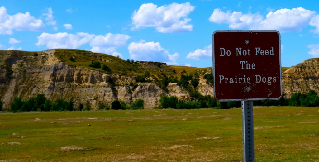 Warning sign in national park field cautioning not to feed prairie dogs.