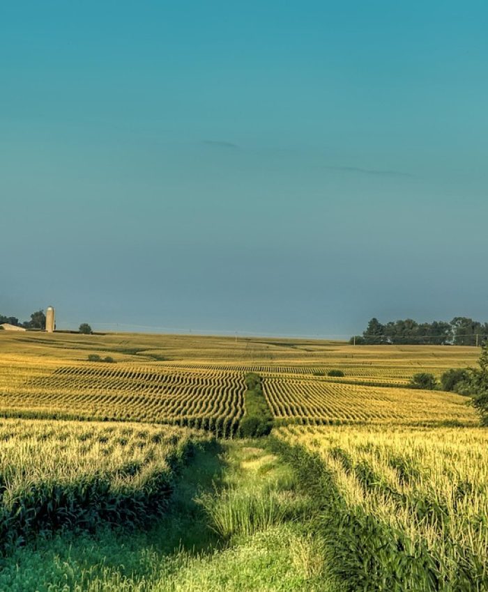 🌽 The Iowa Road Trip That Completely Changed My Mind About the Midwest