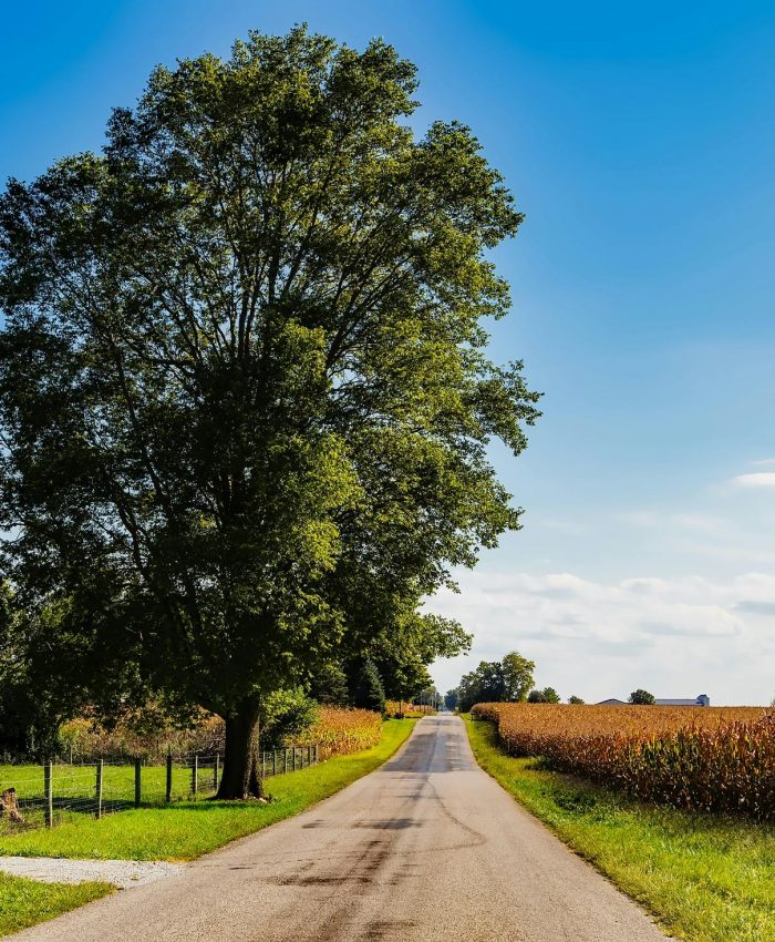 🌾 Iowa’s Hidden Gems: Why Small-Town Escapes Hit Different Than Any City Break